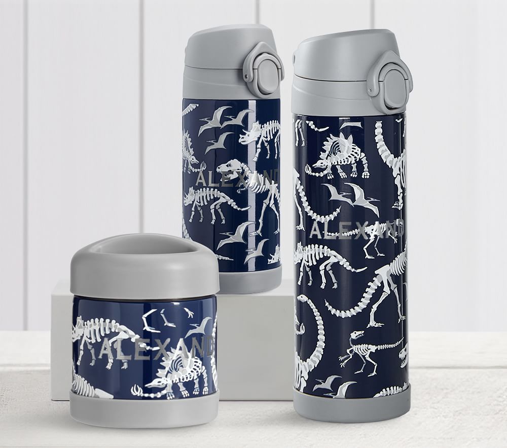 Mackenzie Blue/Grey Glow-in-the-Dark Dinos Water Bottles